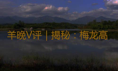 羊晚V评|揭秘:梅龙高铁点解是条“大金链”?